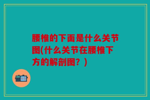 腰椎的下面是什么关节图(什么关节在腰椎下方的解剖图？)