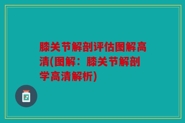 膝关节解剖评估图解高清(图解:膝关节解剖学高清解析) 膝关节解剖评估图解高清(图解:膝关节解剖学高清解析)