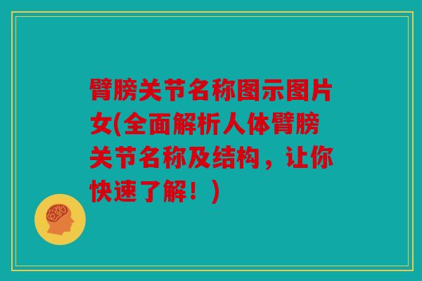 臂膀关节名称图示图片女(全面解析人体臂膀关节名称及结构，让你快速了解！)