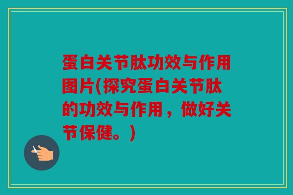 蛋白关节肽功效与作用图片(探究蛋白关节肽的功效与作用，做好关节保健。)