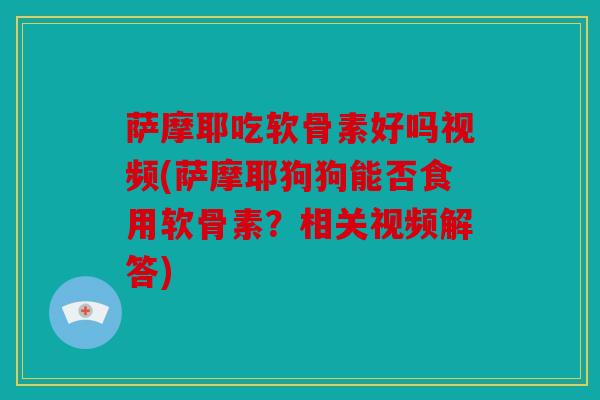 萨摩耶吃软骨素好吗视频(萨摩耶狗狗能否食用软骨素？相关视频解答)