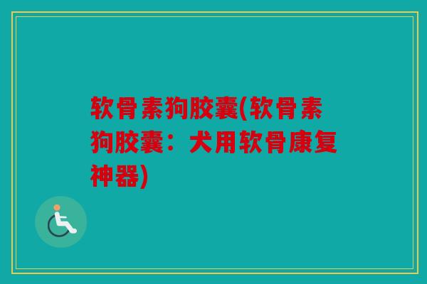 软骨素狗胶囊(软骨素狗胶囊：犬用软骨康复神器)