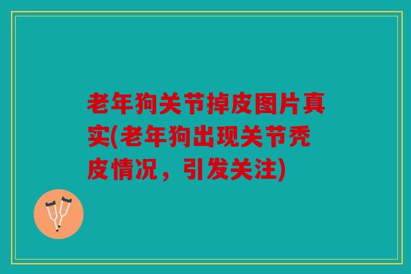 老年狗关节掉皮图片真实(老年狗出现关节秃皮情况,引发关注) 老年狗关节掉皮图片真实(老年狗出现关节秃皮情况,引发关注)