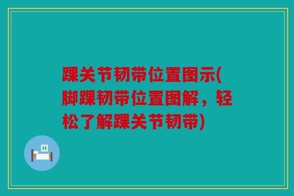 踝关节韧带位置图示(脚踝韧带位置图解，轻松了解踝关节韧带)