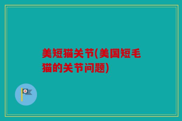 美短猫关节(美国短毛猫的关节问题) 美短猫关节(美国短毛猫的关节问题)