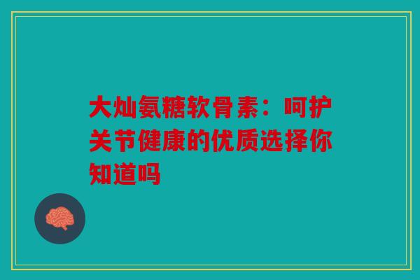 大灿氨糖软骨素:呵护关节健康的优质选择你知道吗 大灿氨糖软骨素:呵护关节健康的优质选择你知道吗