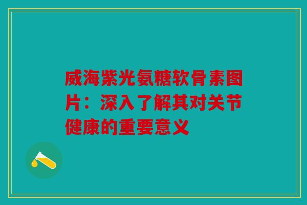 威海紫光氨糖软骨素图片：深入了解其对关节健康的重要意义