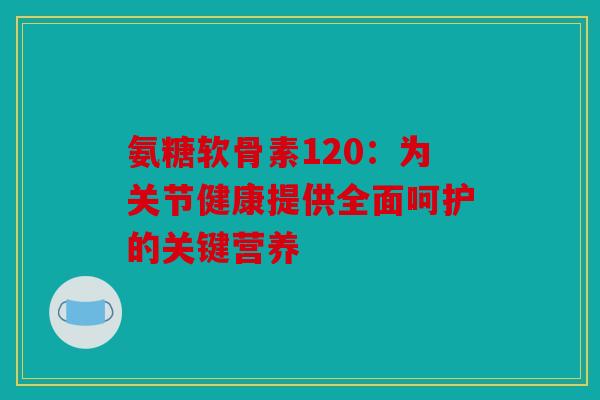 氨糖软骨素120:为关节健康提供全面呵护的关键营养 氨糖软骨素120:为关节健康提供全面呵护的关键营养