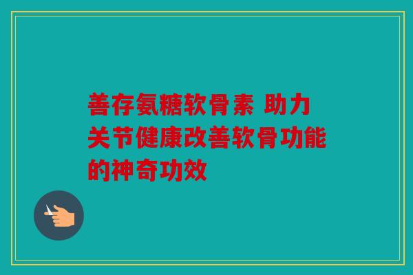 善存氨糖软骨素 助力关节健康改善软骨功能的神奇功效