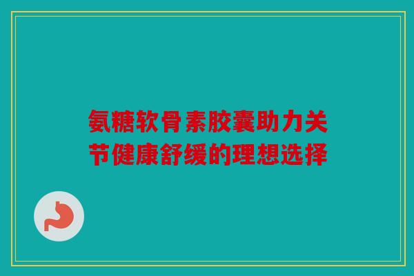氨糖软骨素胶囊助力关节健康舒缓的理想选择