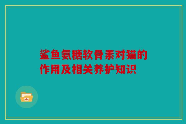 鲨鱼氨糖软骨素对猫的作用及相关养护知识 鲨鱼氨糖软骨素对猫的作用及相关养护知识