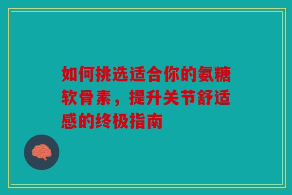 如何挑选适合你的氨糖软骨素，提升关节舒适感的终极指南