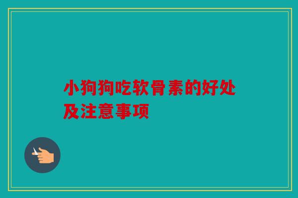 小狗狗吃软骨素的好处及注意事项