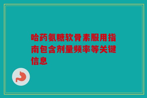 哈药氨糖软骨素服用指南包含剂量频率等关键信息