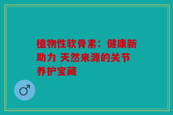 植物性软骨素：健康新助力 天然来源的关节养护宝藏