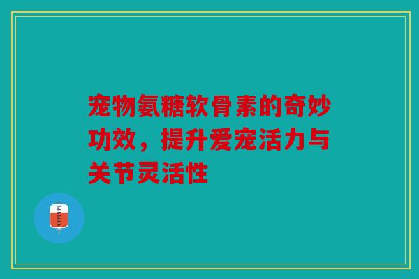 宠物氨糖软骨素的奇妙功效,提升爱宠活力与关节灵活性 宠物氨糖软骨素的奇妙功效,提升爱宠活力与关节灵活性