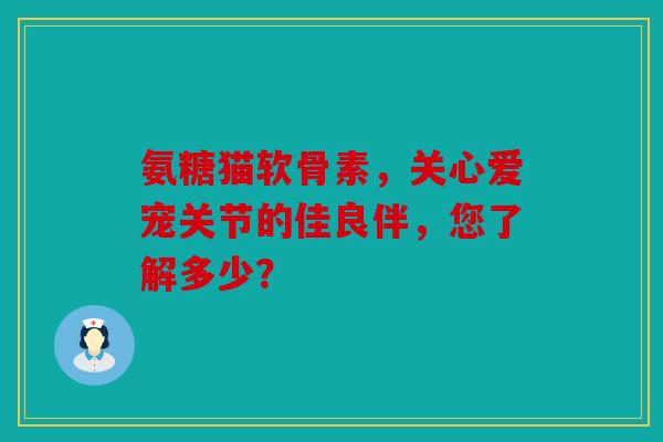 氨糖猫软骨素，关心爱宠关节的佳良伴，您了解多少？