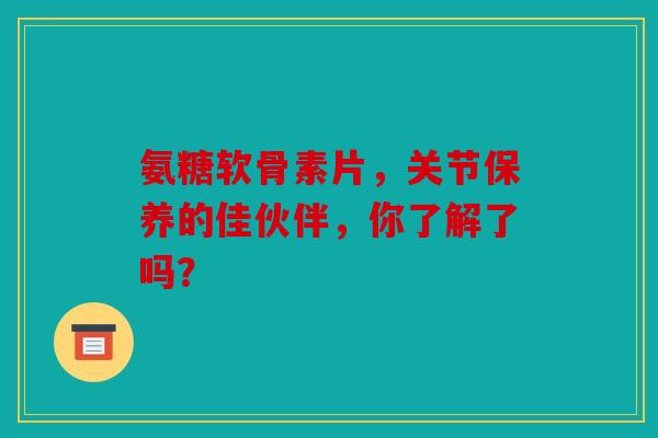 氨糖软骨素片，关节保养的佳伙伴，你了解了吗？