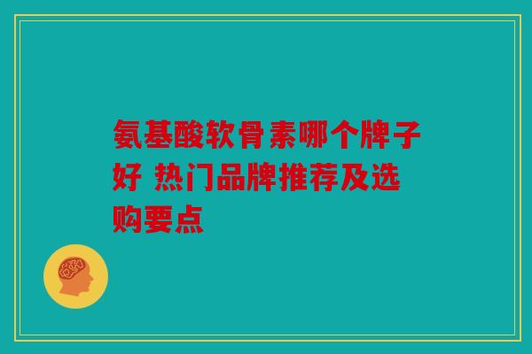氨基酸软骨素哪个牌子好 热门品牌推荐及选购要点