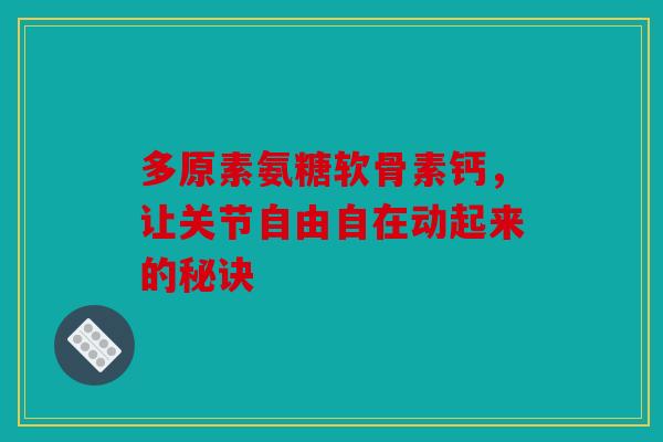 多原素氨糖软骨素钙，让关节自由自在动起来的秘诀