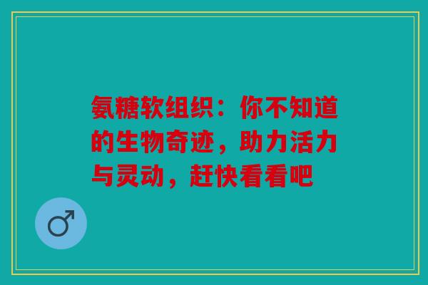 氨糖软组织：你不知道的生物奇迹，助力活力与灵动，赶快看看吧