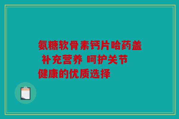 氨糖软骨素钙片哈药盖 补充营养 呵护关节健康的优质选择