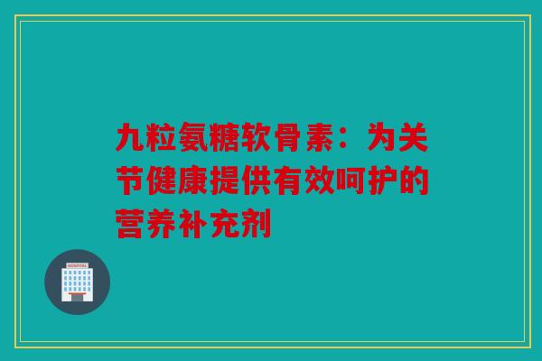 九粒氨糖软骨素：为关节健康提供有效呵护的营养补充剂