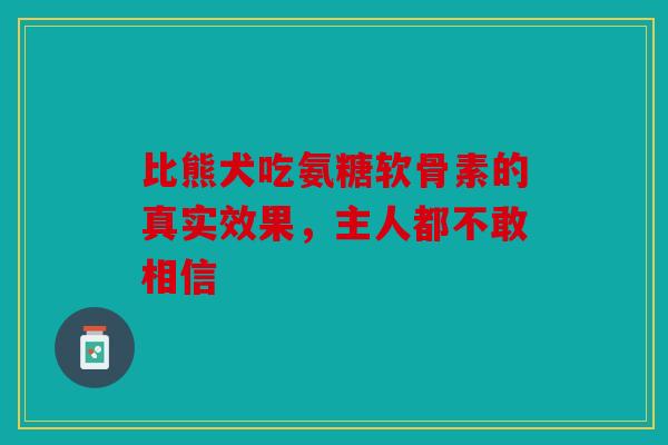 比熊犬吃氨糖软骨素的真实效果，主人都不敢相信