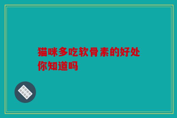 猫咪多吃软骨素的好处你知道吗