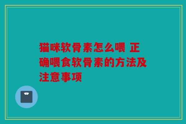 猫咪软骨素怎么喂 正确喂食软骨素的方法及注意事项