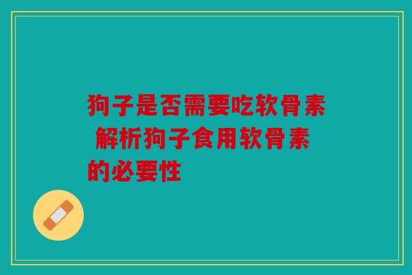 狗子是否需要吃软骨素 解析狗子食用软骨素的必要性 狗子是否需要吃软骨素 解析狗子食用软骨素的必要性