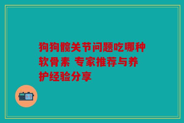 狗狗髋关节问题吃哪种软骨素 专家推荐与养护经验分享 狗狗髋关节问题吃哪种软骨素 专家推荐与养护经验分享