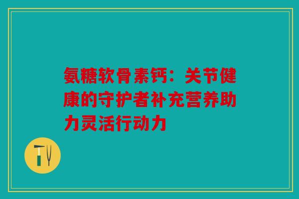 氨糖软骨素钙：关节健康的守护者补充营养助力灵活行动力