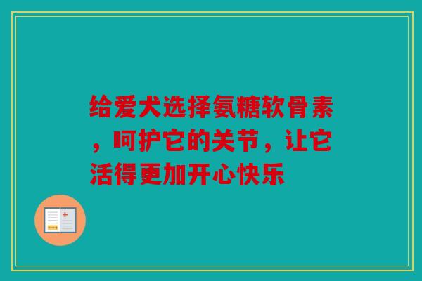 给爱犬选择氨糖软骨素，呵护它的关节，让它活得更加开心快乐