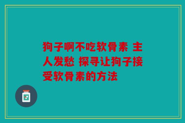 狗子啊不吃软骨素 主人发愁 探寻让狗子接受软骨素的方法