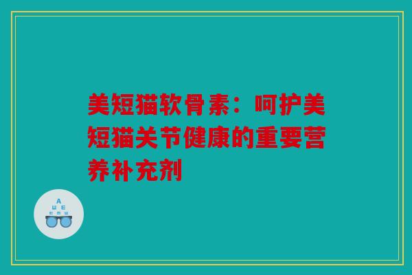 美短猫软骨素：呵护美短猫关节健康的重要营养补充剂