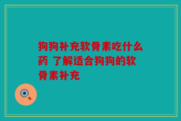 狗狗补充软骨素吃什么药 了解适合狗狗的软骨素补充 狗狗补充软骨素吃什么药 了解适合狗狗的软骨素补充