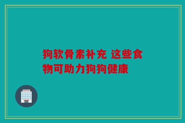 狗软骨素补充 这些食物可助力狗狗健康