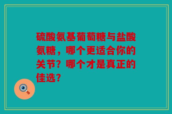 硫酸氨基葡萄糖与盐酸氨糖,哪个更适合你的关节?哪个才是真正的佳选? 硫酸氨基葡萄糖与盐酸氨糖,哪个更适合你的关节?哪个才是真正的佳选?