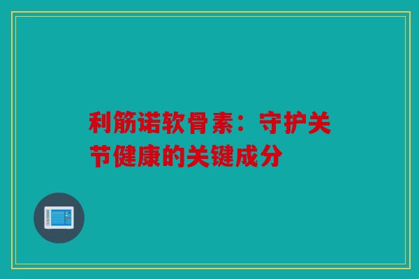 利筋诺软骨素:守护关节健康的关键成分 利筋诺软骨素:守护关节健康的关键成分