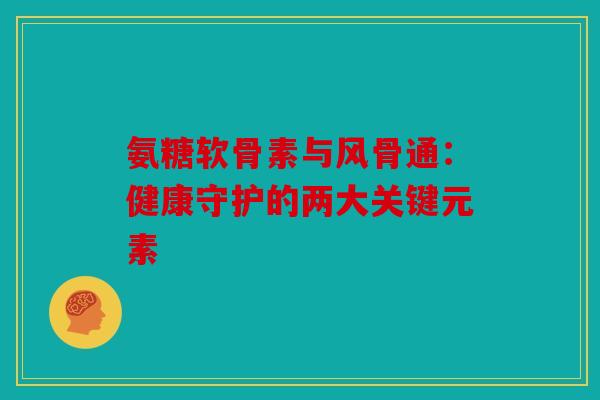 氨糖软骨素与风骨通：健康守护的两大关键元素