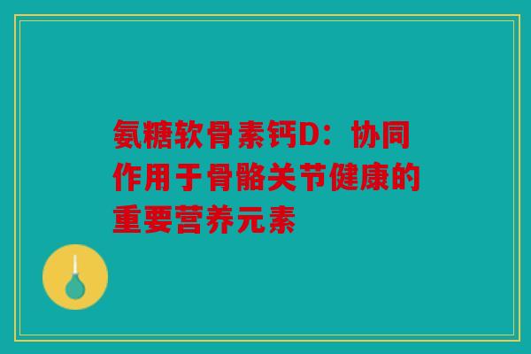 氨糖软骨素钙D：协同作用于骨骼关节健康的重要营养元素