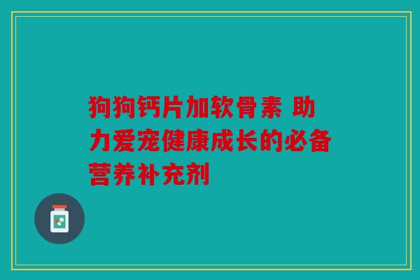 狗狗钙片加软骨素 助力爱宠健康成长的必备营养补充剂