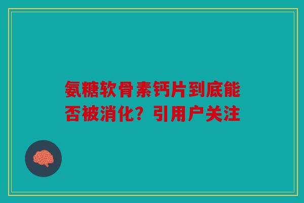 氨糖软骨素钙片到底能否被消化?引用户关注 氨糖软骨素钙片到底能否被消化?引用户关注